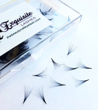 Load image into Gallery viewer, 500 - 1,000 12D C/D .03mm Heat Bond Premade Mega Volume Fans - Pro Eyelash Extensions