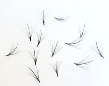 Load image into Gallery viewer, 300 Wispy Spike 5D/7D/9D .03/.05/.07mm Heat Promade Fans - Pro Eyelash Extensions