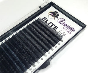 Exquisite Elite Silk C/CC .02 .03 .04 .05 .07 Volume - Pro Eyelash Extensions