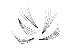 Load image into Gallery viewer, 300 10D Natural Premade Mega Volume Fans Flare - Pro Eyelash Extensions