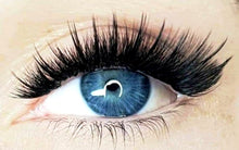 Load image into Gallery viewer, 300 Wispy Spike 5D/7D/9D .03/.05/.07mm Heat Promade Fans - Pro Eyelash Extensions