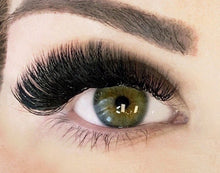 Load image into Gallery viewer, 500 - 1,000 6D C/D .05/.07 Heat Bond Premade Mega Volume Fans - Pro Eyelash Extensions