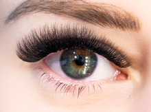 Load image into Gallery viewer, 500 - 1,000 8D C/D .05 Heat Bond Premade Mega Volume Fans - Pro Eyelash Extensions