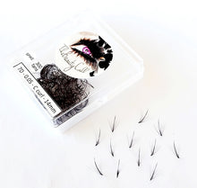 Load image into Gallery viewer, 300 Wispy Spike 5D/7D/9D .03/.05/.07mm Heat Promade Fans - Pro Eyelash Extensions