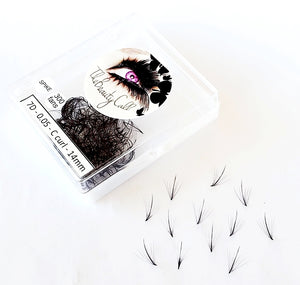 300 Wispy Spike 5D/7D/9D .03/.05/.07mm Heat Promade Fans - Pro Eyelash Extensions