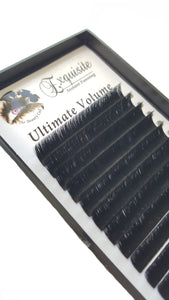 Ultimate Volume Instant Fanning Lashes - Pro Eyelash Extensions